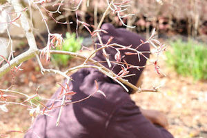 Meet your Posher, Lord